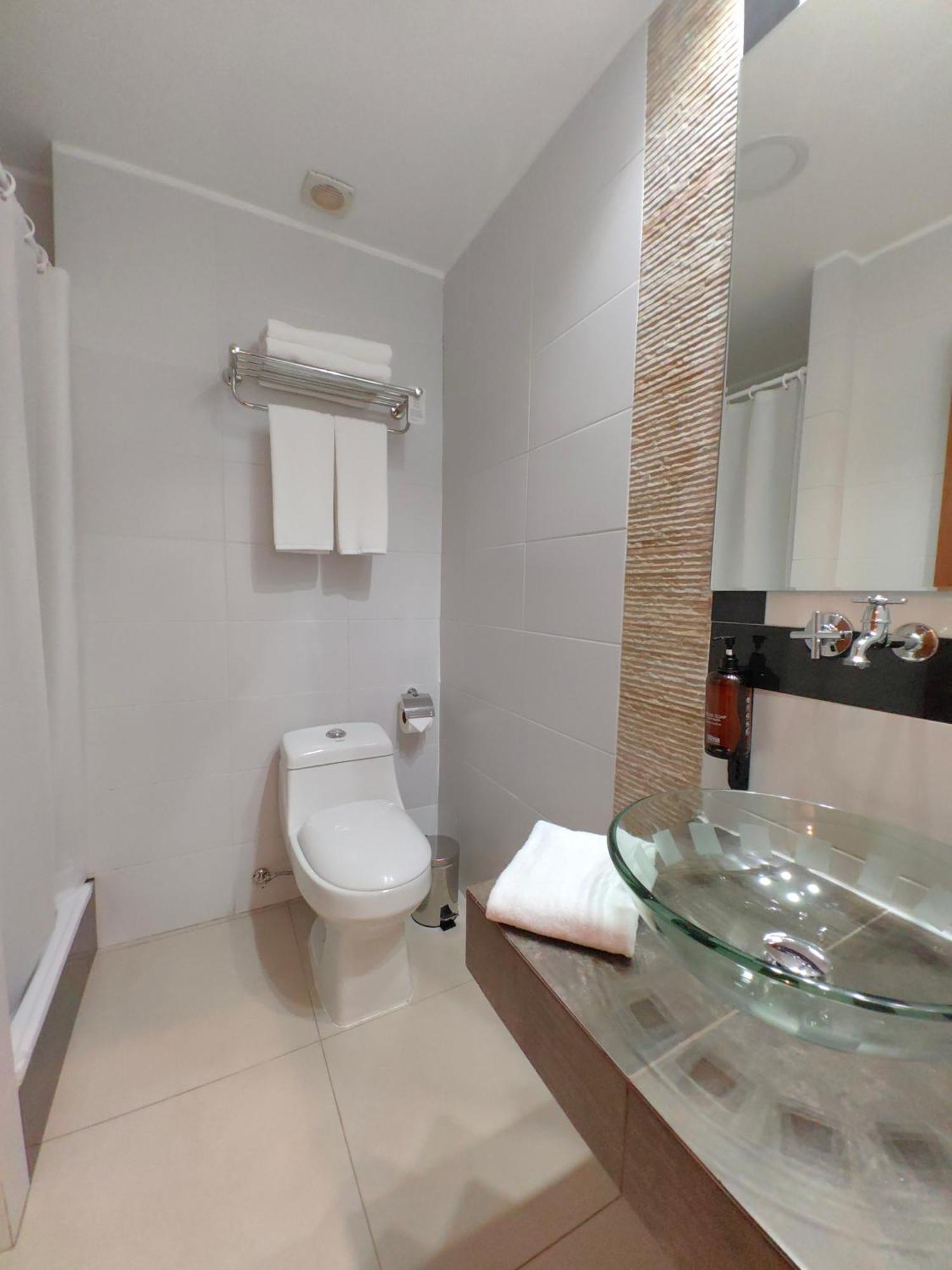 סנטיאגו Concha Y Toro 33 Hotel Boutique By Nobile מראה חיצוני תמונה